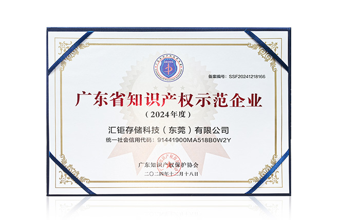 2024年度广东省知识产权示范企业证书