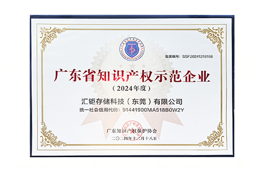2024年度广东省知识产权示范企业证书
