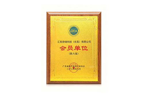 2024年度广东省电子信息行业协会会员单位